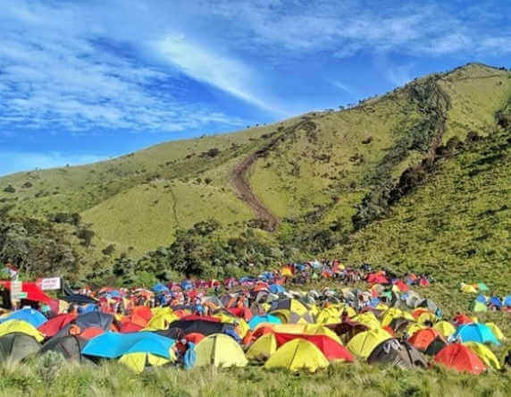 Sabana di indonesia banyak ditemukan di wilayah